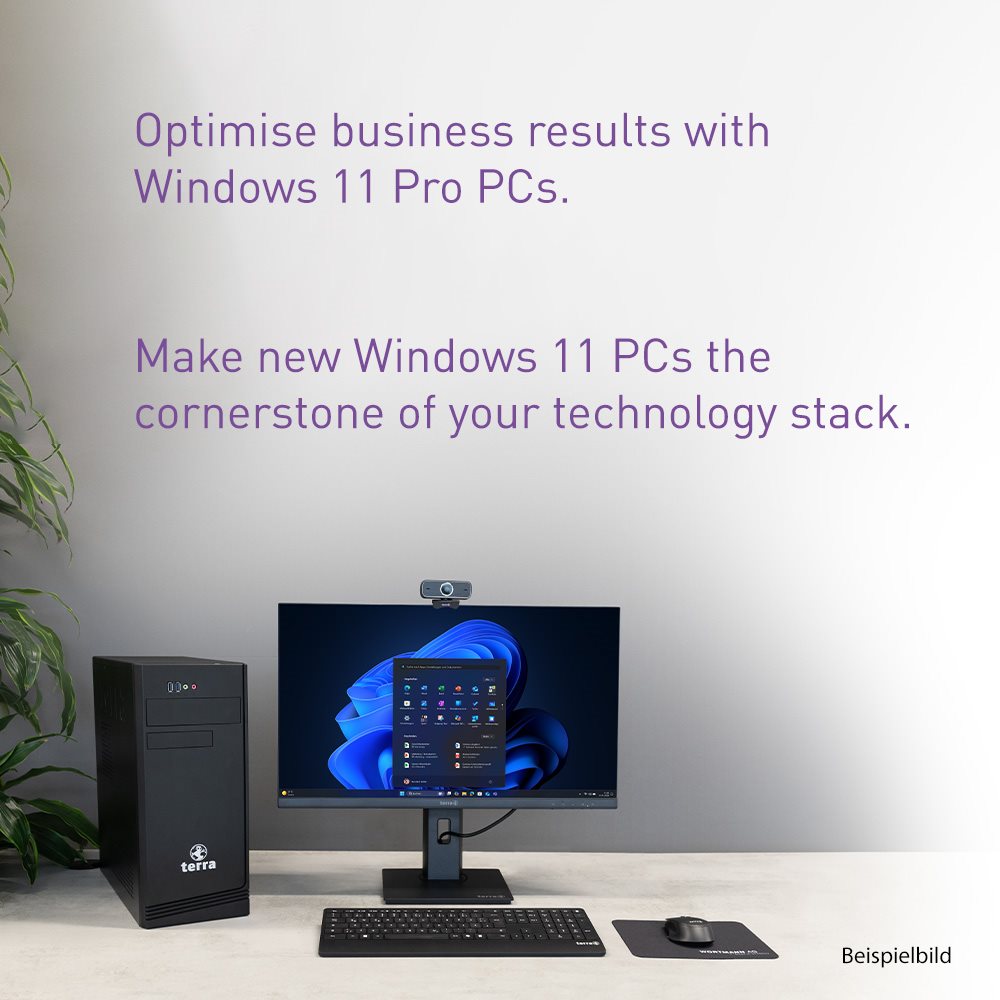 TERRA PC MINI 6000V6.1